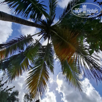 фото из отзыва ID 2746360