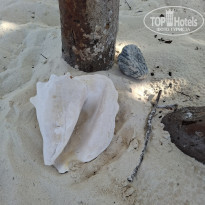 фото из отзыва ID 2746360