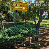 фото из отзыва ID 2746380