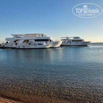 фото из отзыва ID 2746294