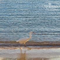 фото из отзыва ID 2746294