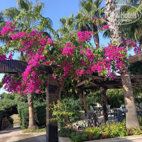 фото из отзыва ID 2746418