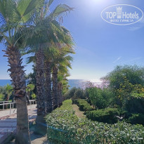 фото из отзыва ID 2746418