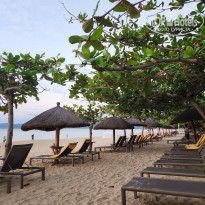 фото из отзыва ID 2746427