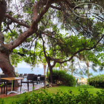 фото из отзыва ID 2746430