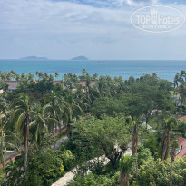 фото из отзыва ID 2746423