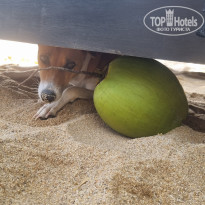 фото из отзыва ID 2746450