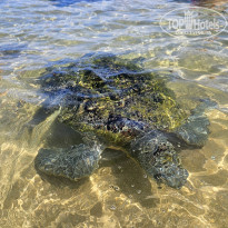 фото из отзыва ID 2746450