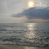 фото из отзыва ID 2746450