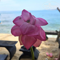 фото из отзыва ID 2746450