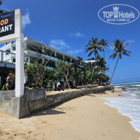 фото из отзыва ID 2746450