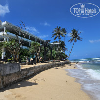 фото из отзыва ID 2746450