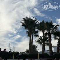 фото из отзыва ID 2746477