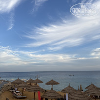 фото из отзыва ID 2746477