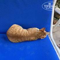 фото из отзыва ID 2744930