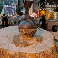 фото из отзыва ID 2746457