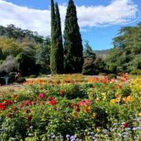 фото из отзыва ID 2746457