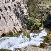 фото из отзыва ID 2746457