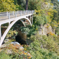 фото из отзыва ID 2746457