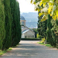 фото из отзыва ID 2746457