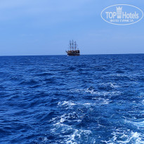 фото из отзыва ID 2746559