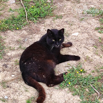 фото из отзыва ID 2746559