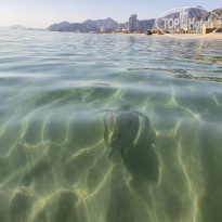 фото из отзыва ID 2746567