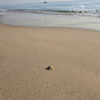 фото из отзыва ID 2746567