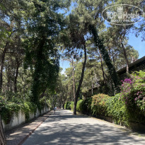 фото из отзыва ID 2746617