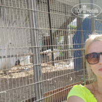 фото из отзыва ID 2746627