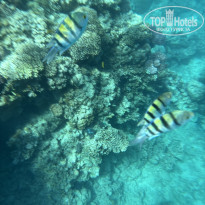 фото из отзыва ID 2746680