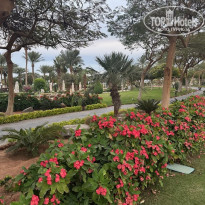 фото из отзыва ID 2746719