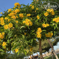 фото из отзыва ID 2746719