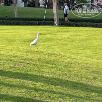 фото из отзыва ID 2746719