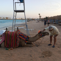 фото из отзыва ID 2746770