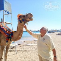 фото из отзыва ID 2746770