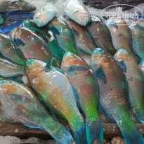 фото из отзыва ID 2746770