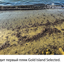 фото из отзыва ID 2746881