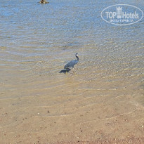 фото из отзыва ID 2746944