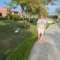 фото из отзыва ID 2746944