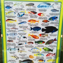 фото из отзыва ID 2746944