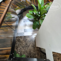 фото из отзыва ID 2746956