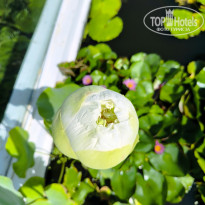 фото из отзыва ID 2746956