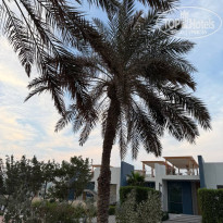 фото из отзыва ID 2746968