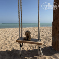 фото из отзыва ID 2746984