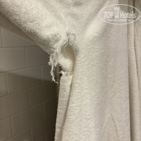 фото из отзыва ID 2746987