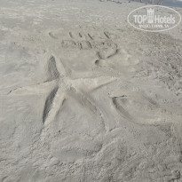 фото из отзыва ID 2747069