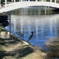 фото из отзыва ID 2747069