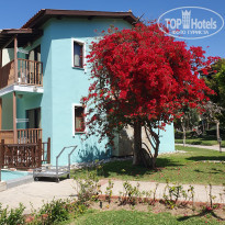 фото из отзыва ID 2747184