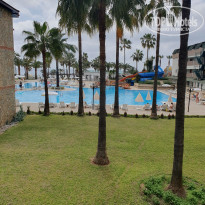 фото из отзыва ID 2747184